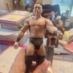 Wwe Miz Action Figure